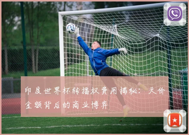 印度世界杯转播权费用揭秘:天价金额背后的商业博弈